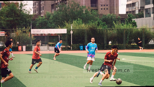 15秒心跳刷新陪伴